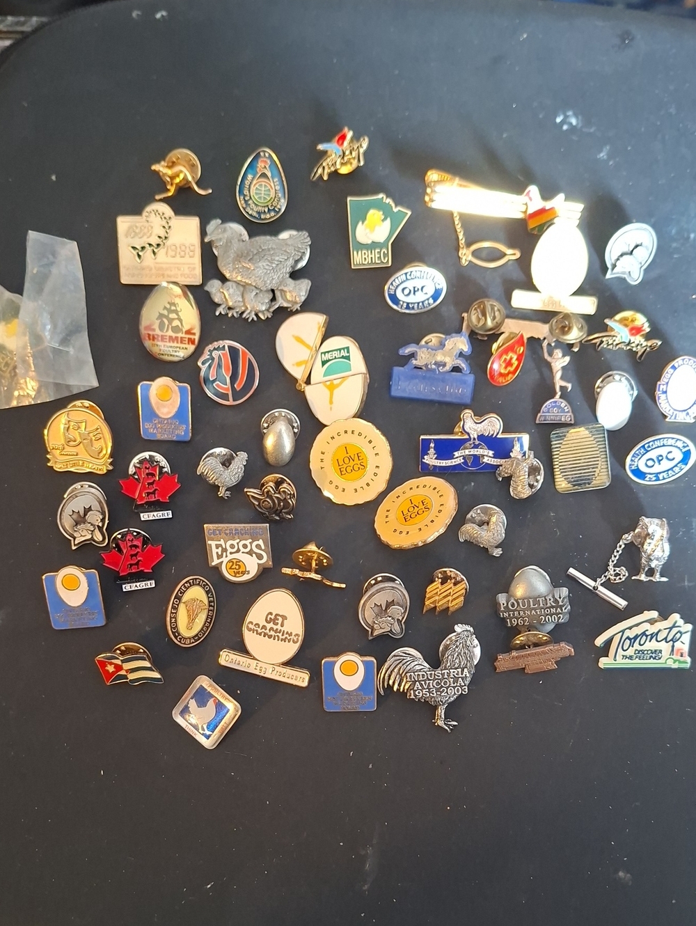 Collection Of Lapel Pins